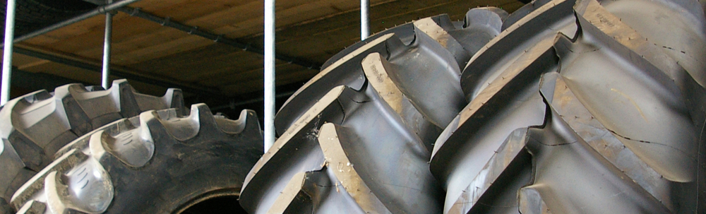 DriesBanden_Beeldmateriaal-29